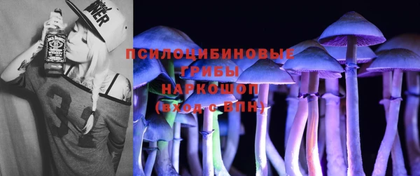 молекула духа Алексин