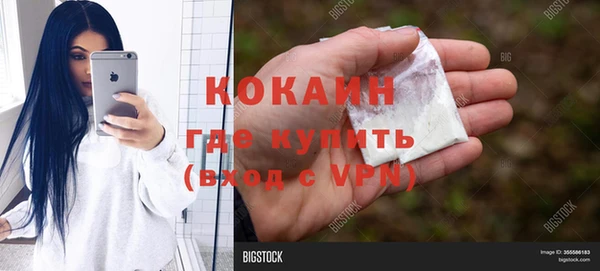 молекула духа Алексин