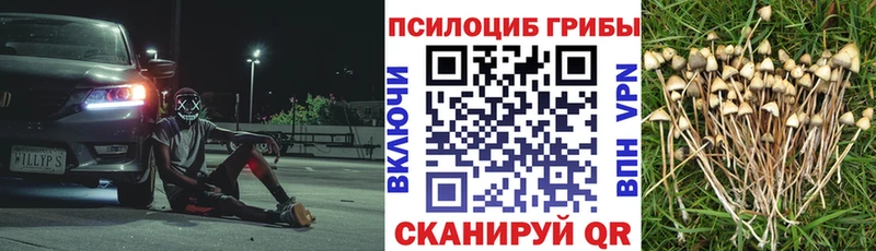 Псилоцибиновые грибы мицелий Купить Губаха